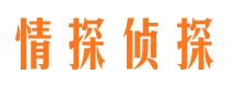 怀安侦探